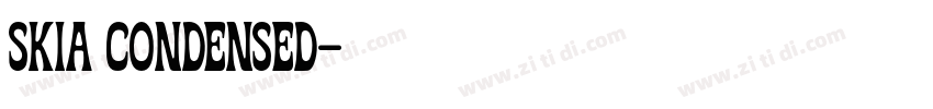SKIA CONDENSED字体转换 SKIA CONDENSED字体转换